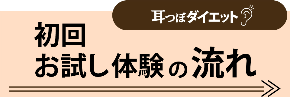 カウンセリング+お試し施術の流れ